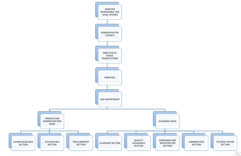 DPP Organizational Structure Diagram